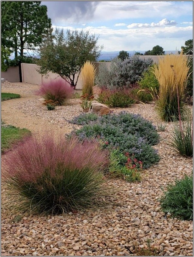 Landscaped desert garden with pink and golden grasses, shrubs, and gravel ground cover under a cloudy sky.