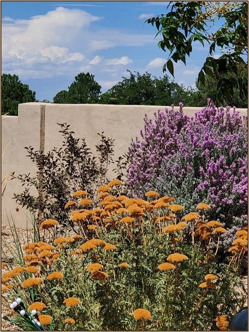 Yellow, purple, and green flowering plants in a garden against a tan wall, under a blue sky.