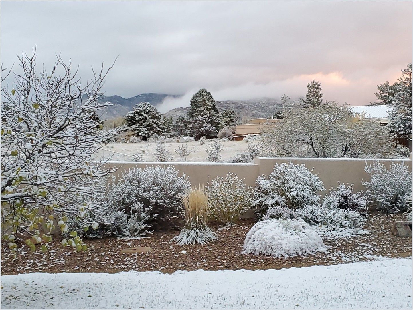 Snow-covered shrubs and trees in front of a tan wall with mountains and overcast sky in the distance.