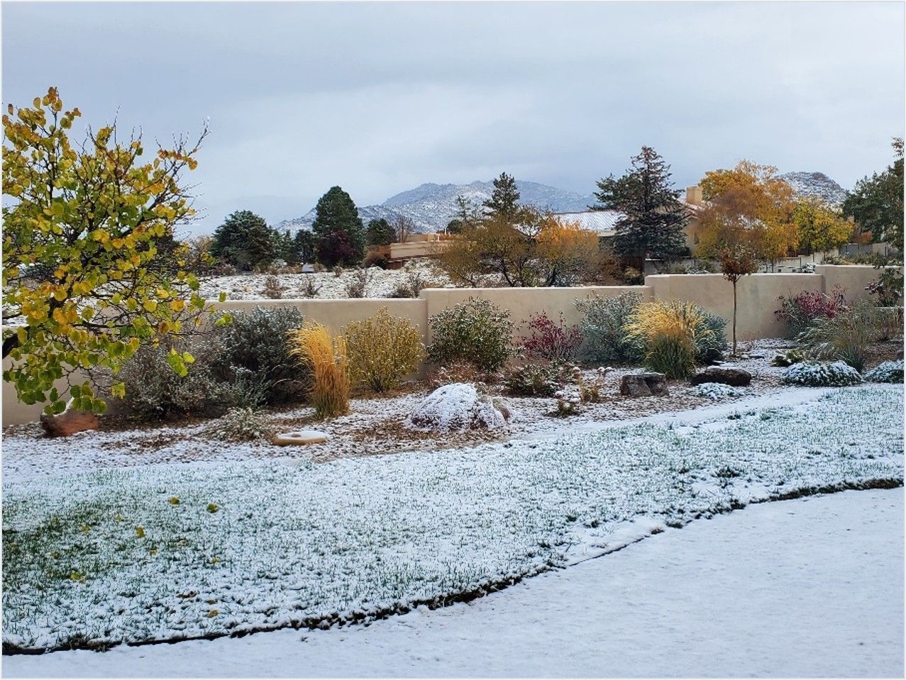 Snowy landscape with fall foliage and a distant mountain range.