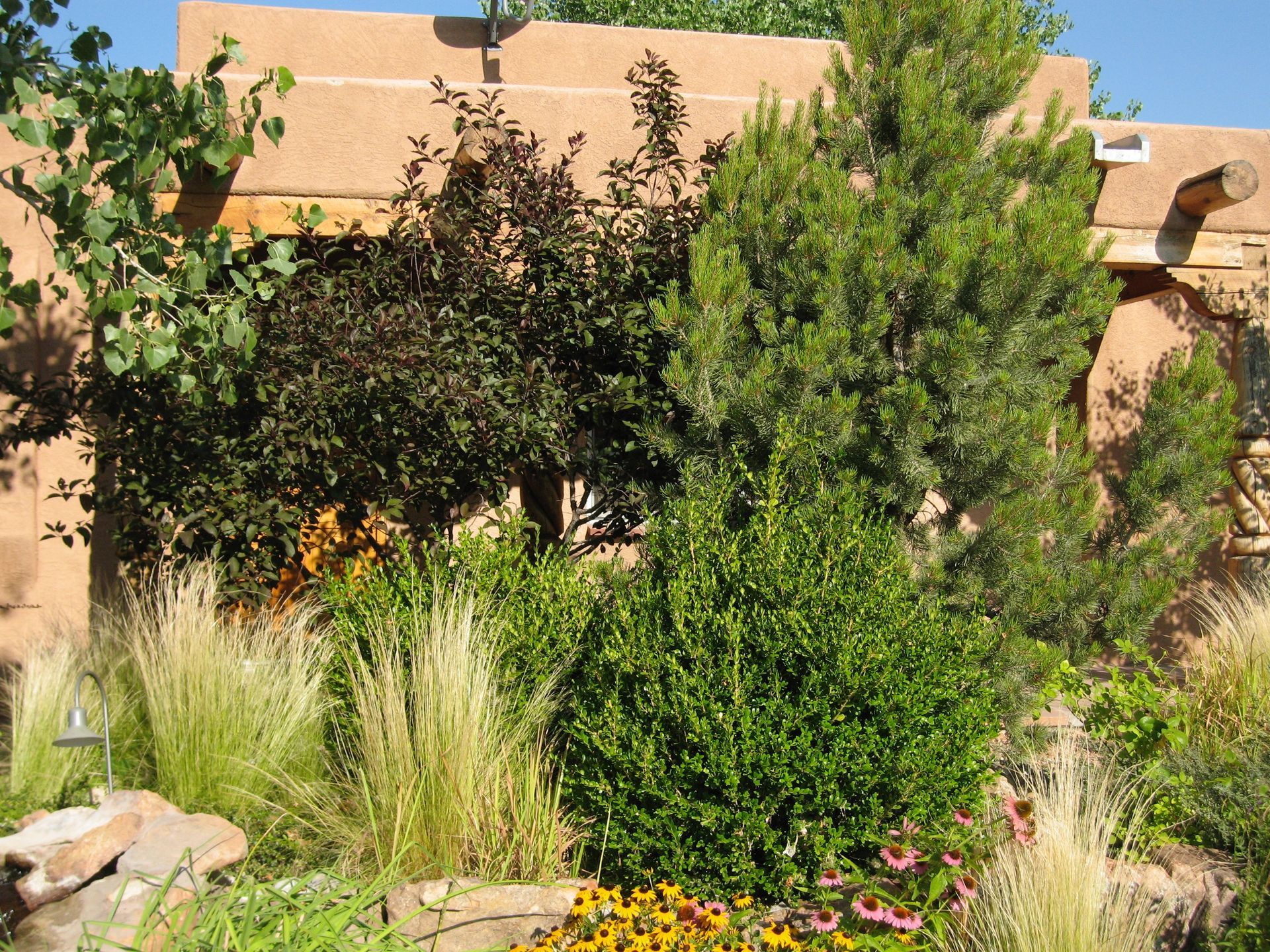 Garden with varied greenery in front of a tan adobe-style building.