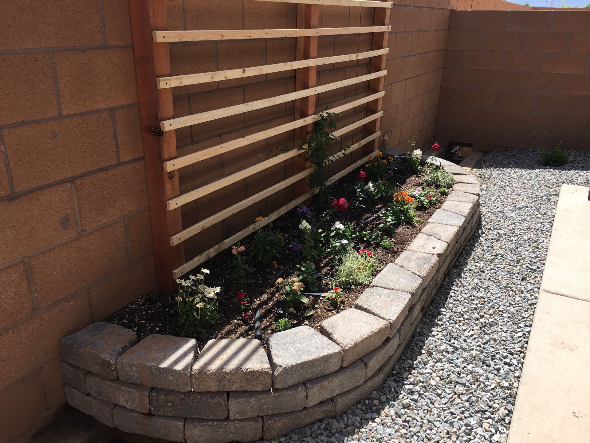 A curved brick garden bed with flowers against a wall and wooden trellis.