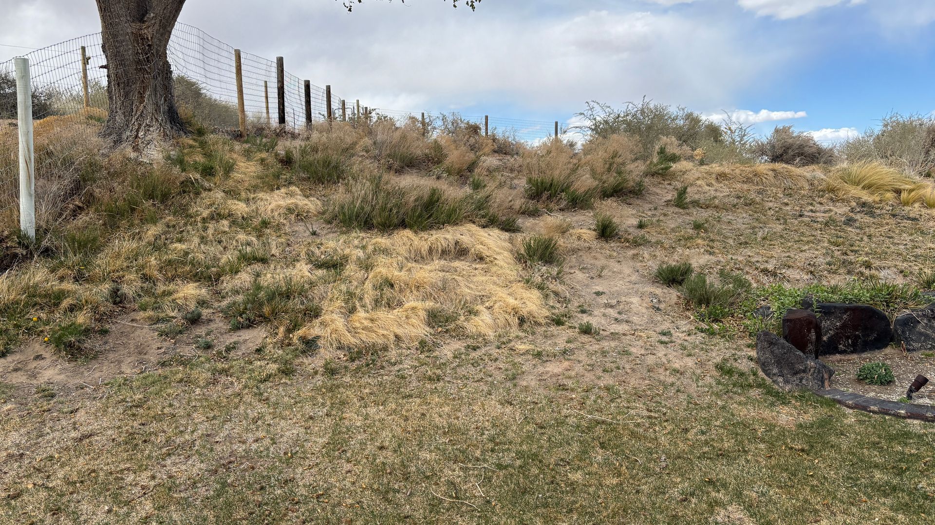 A dry, grassy hillside with sparse bushes, a fence, and a tree under a cloudy sky.