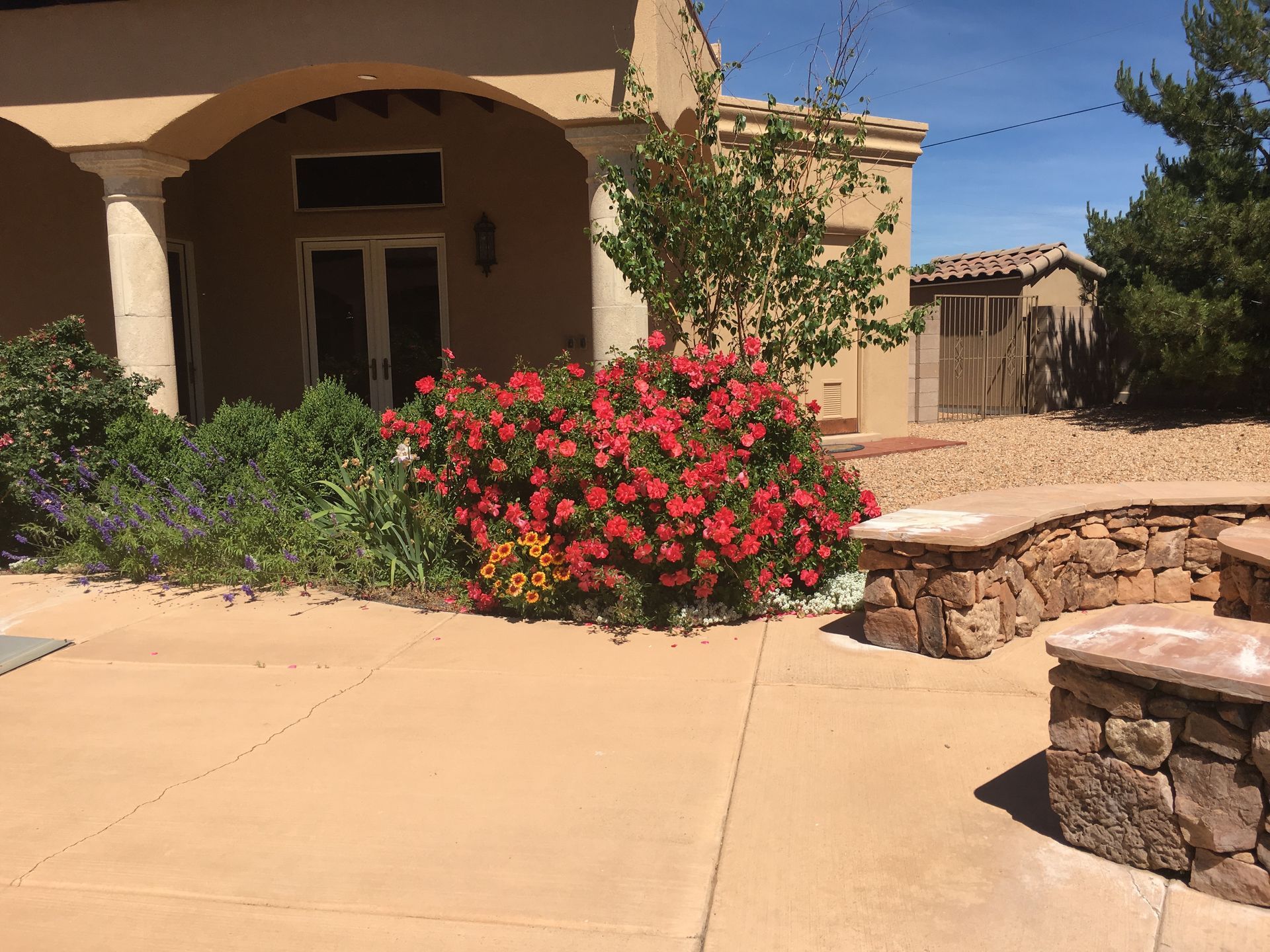 Courtyard with red rose bushes, a stone wall, and a stucco building under a blue sky.