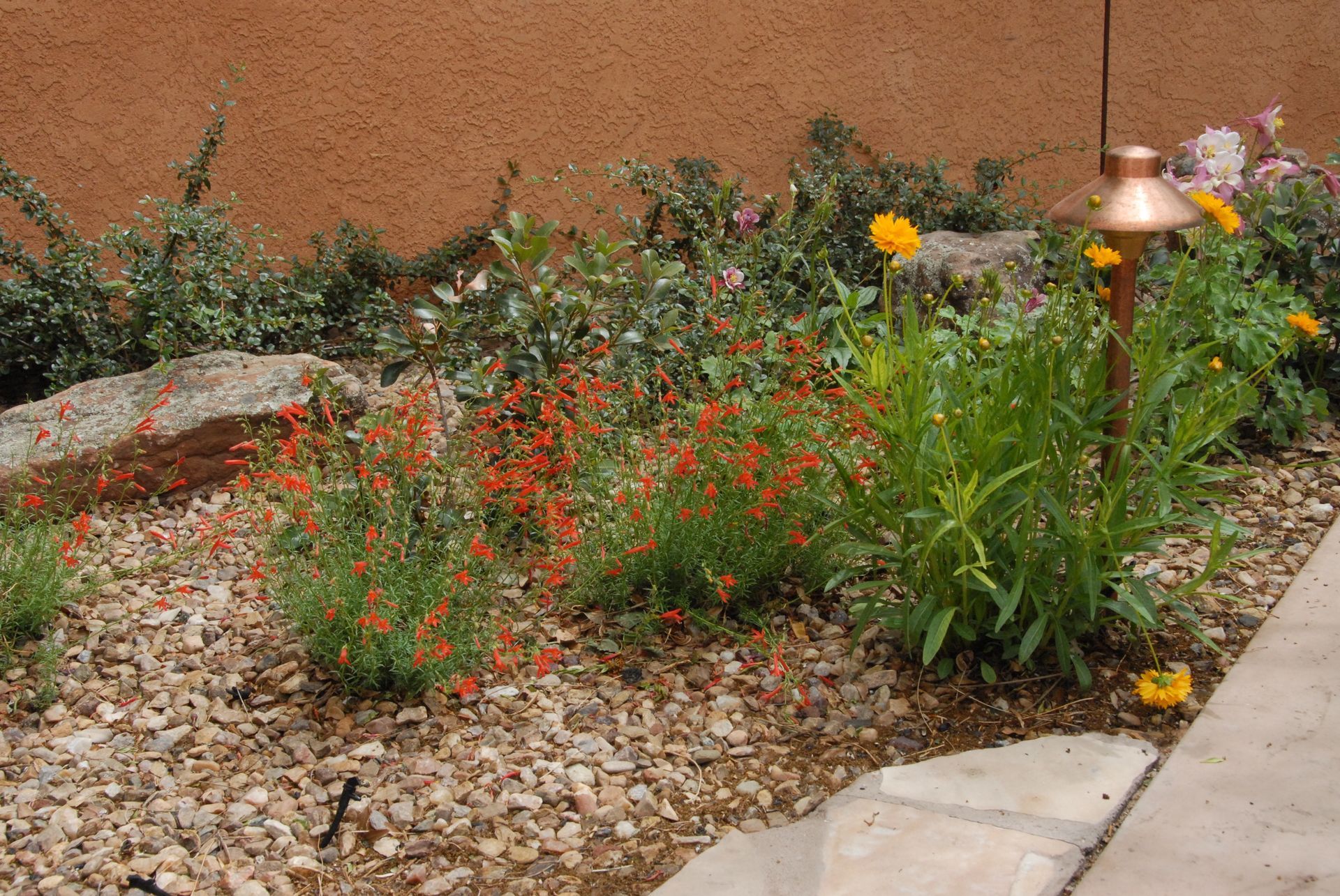 Rock garden with orange flowers, yellow flowers, green plants, and bronze landscape lighting against a stucco wall.