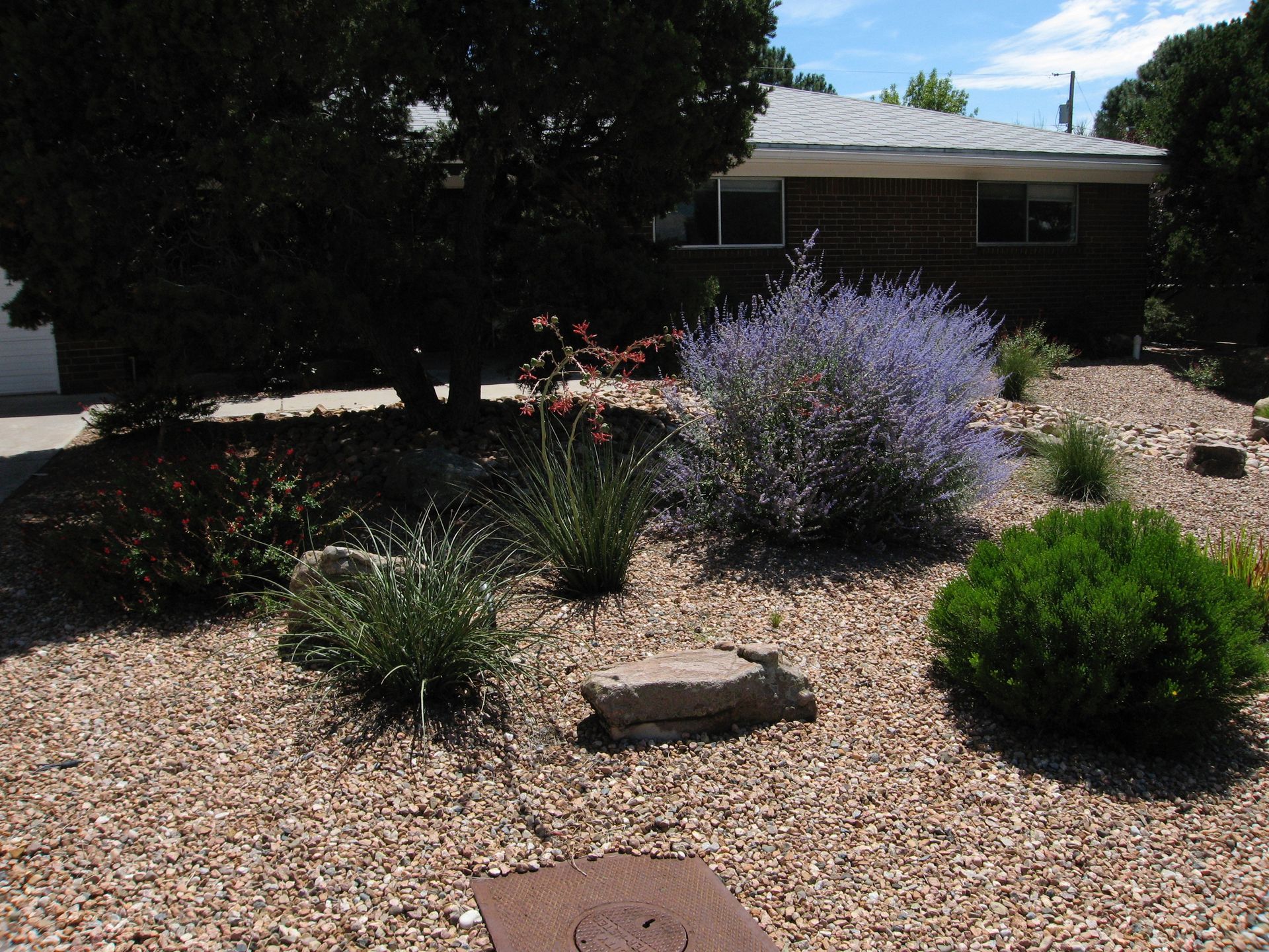Residential landscaping with gravel, various green and purple plants, and a brown brick house.