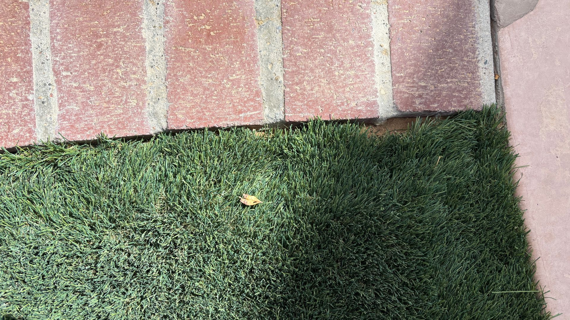 Green grass borders a brick wall and a concrete sidewalk.