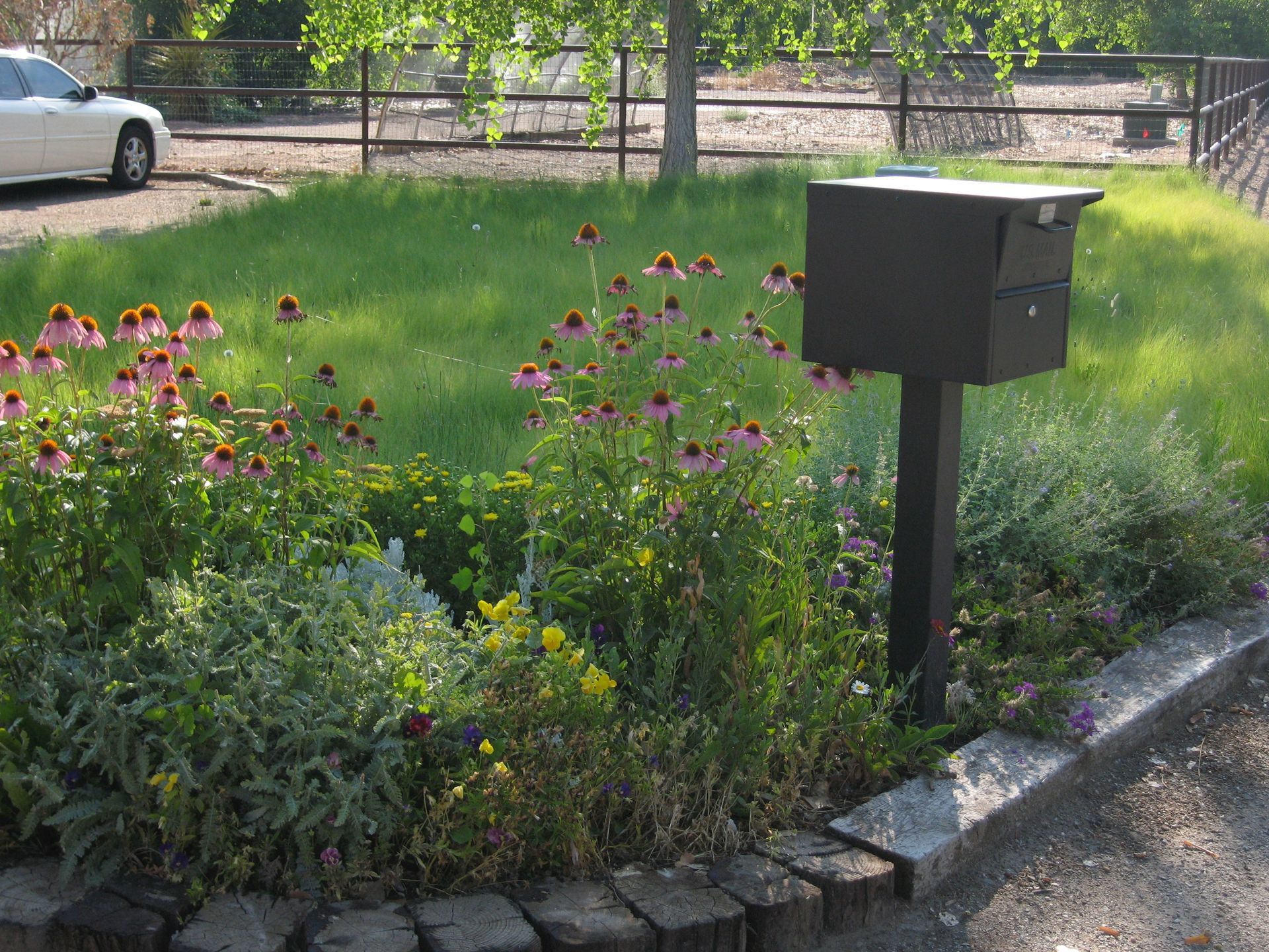 Black mailbox on a post in a flower bed with pink and yellow blooms. Green grass and a car in the background.