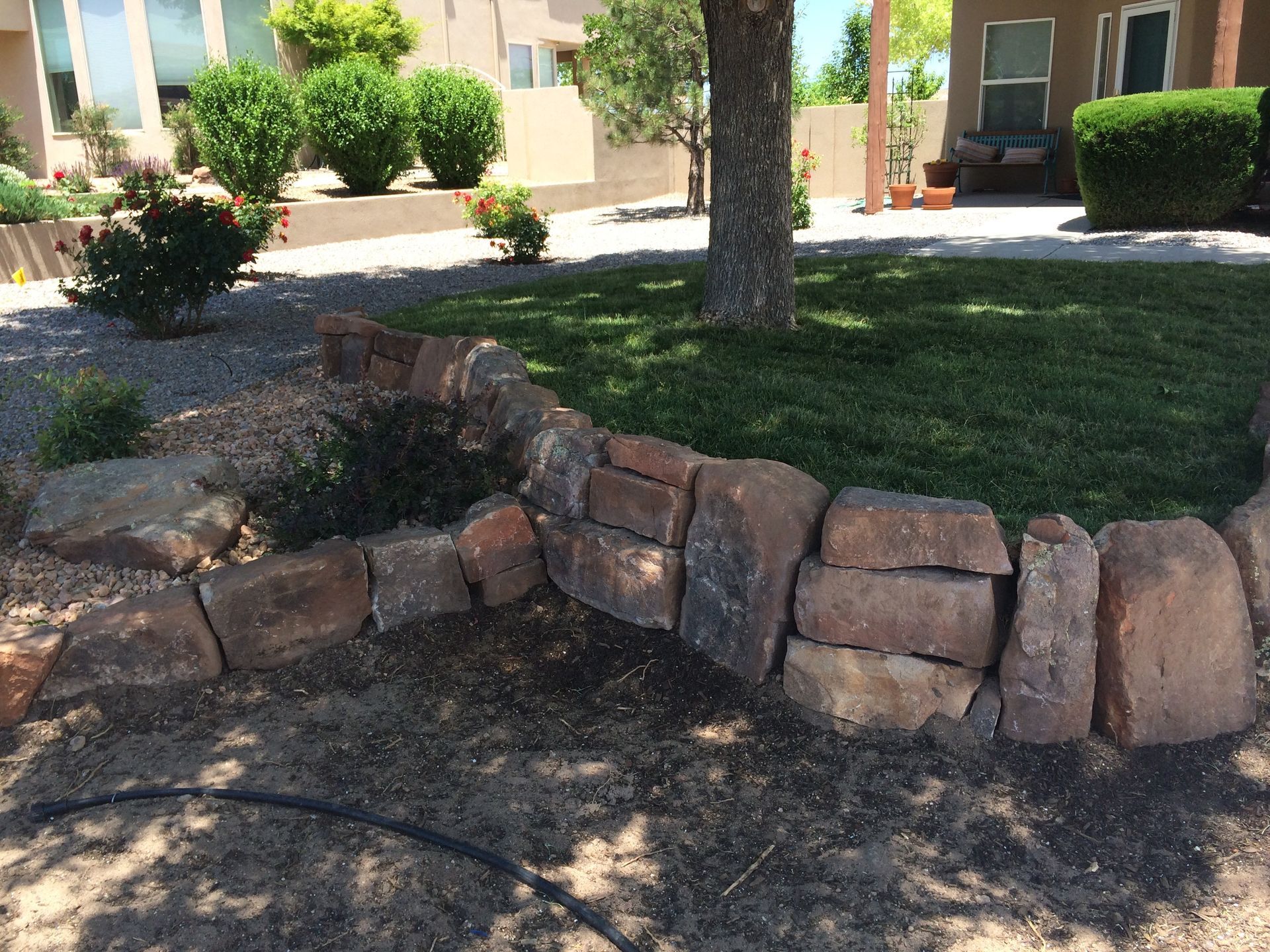 A stone border curves around a tree in a yard, with green grass and shrubs visible in the background.