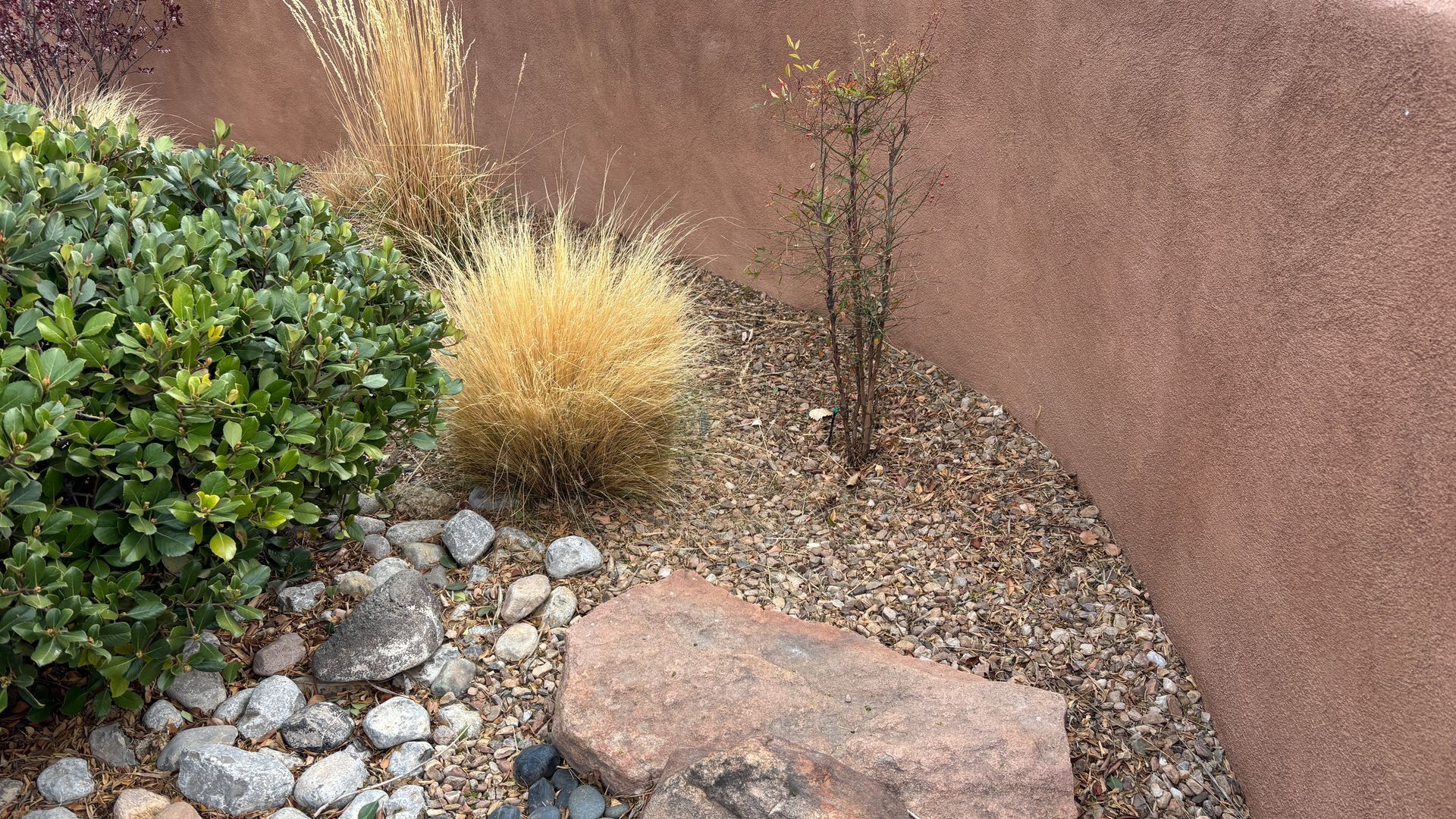 A garden bed with green bushes, tan grasses, rocks, and a young plant against a textured brown wall.