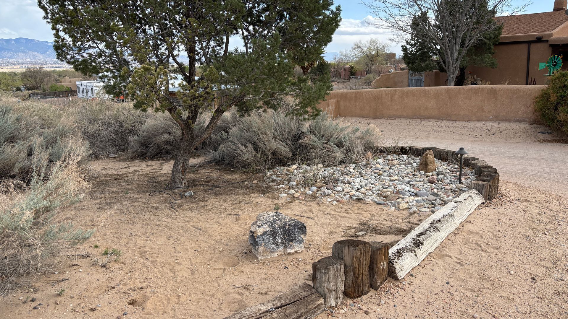 A small, rock-filled garden bed with a log border, juniper tree, and desert landscaping, outdoors.