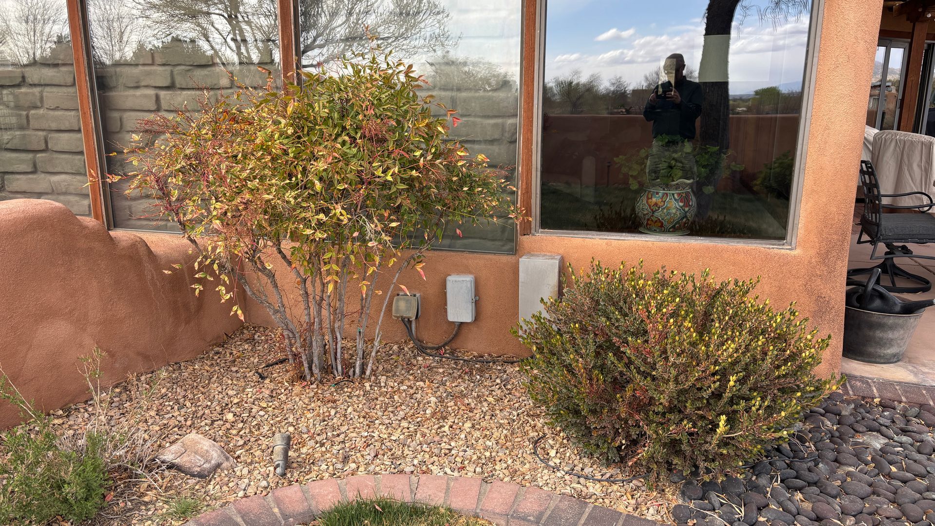 A backyard with gravel, bushes, and a window. The window reflects a person taking a picture.