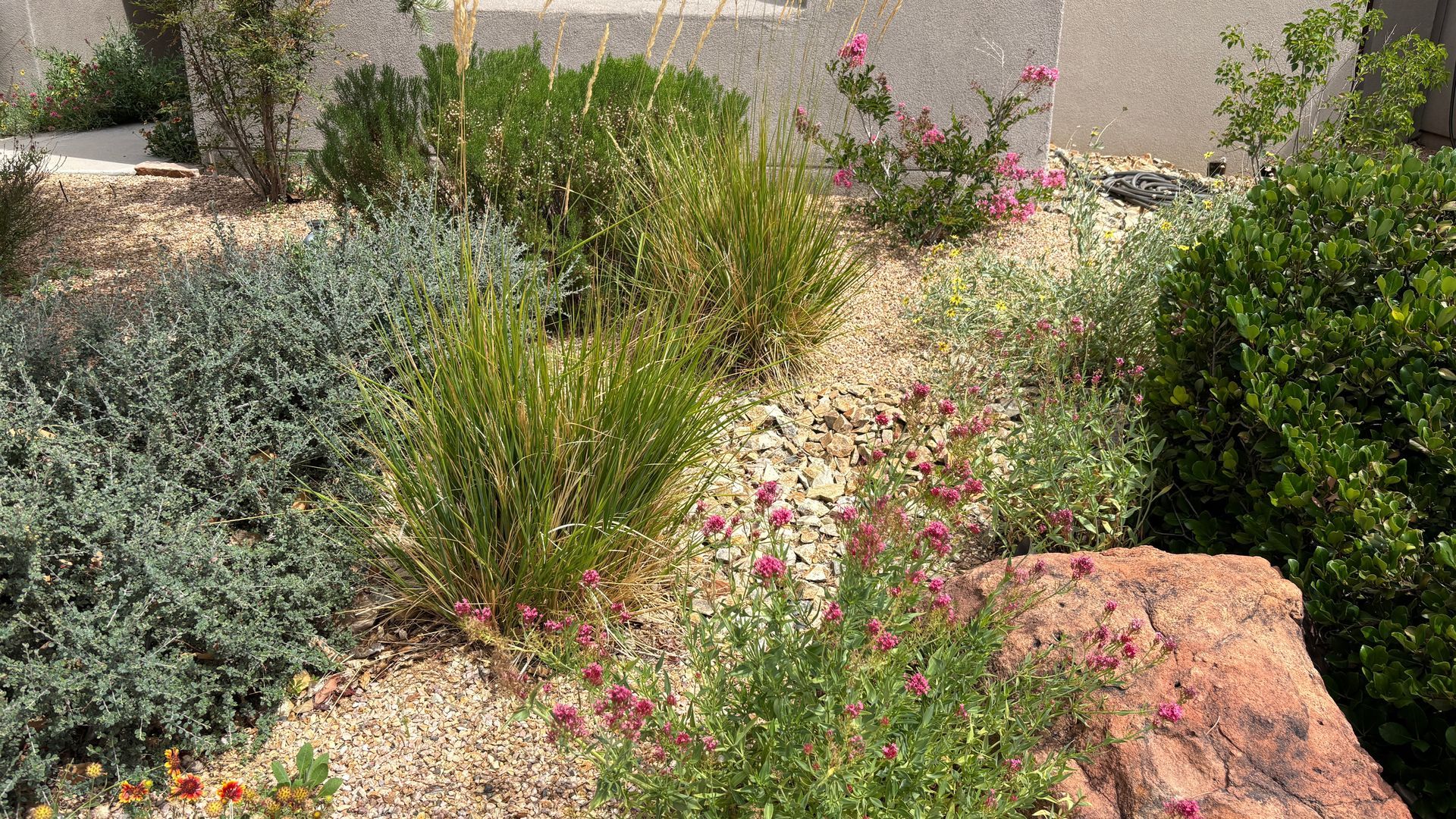 A rock garden with varied green and pink plants, on a bed of light gravel, against a light-colored wall.