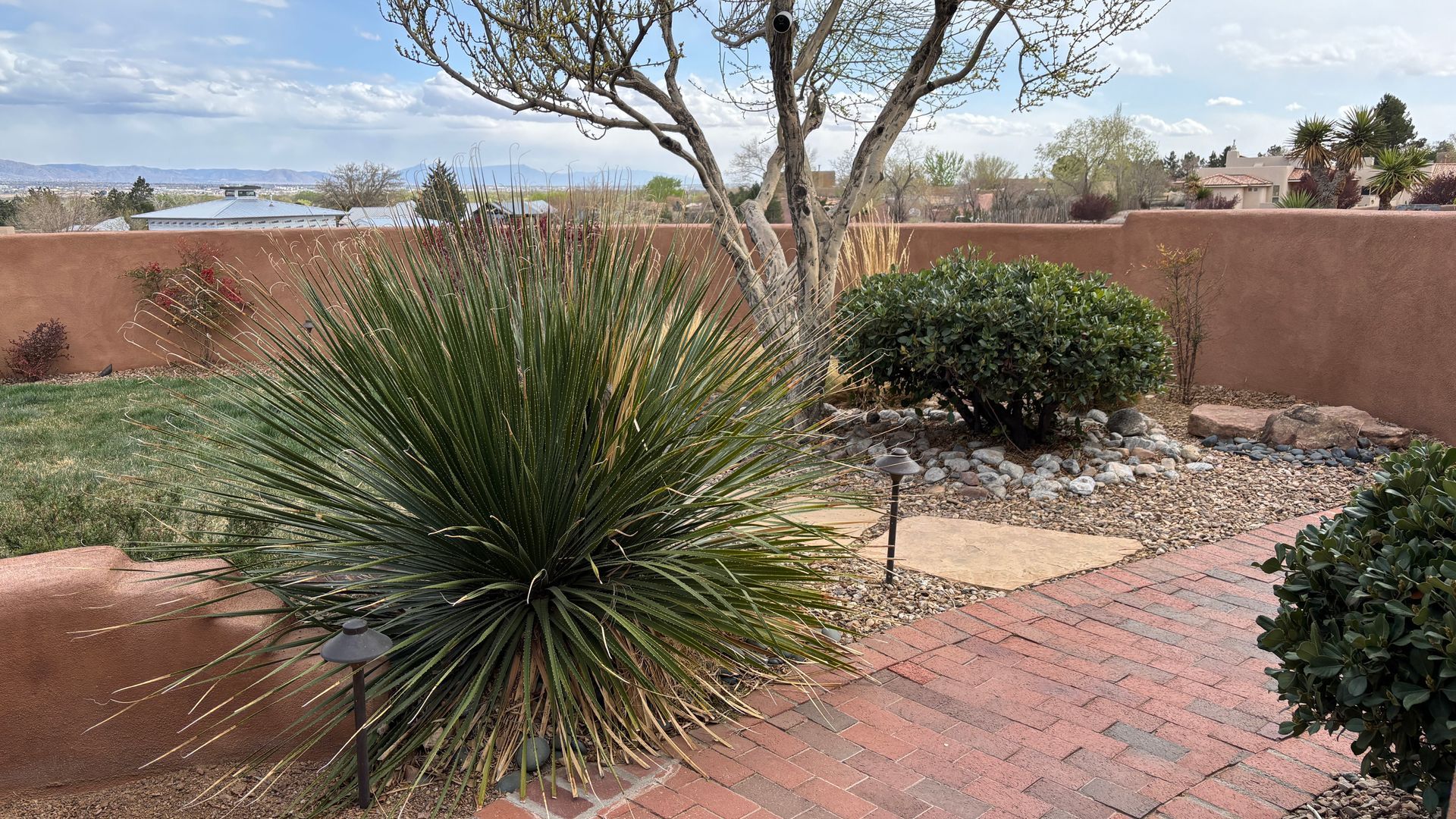 Backyard with brick path, yucca plant, tree, and view of distant mountains.
