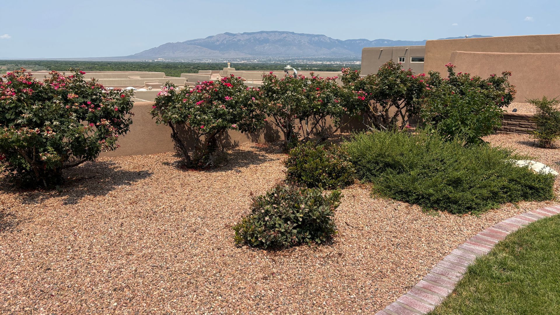 A xeriscape garden with shrubs and brown gravel in front of a mountain range.