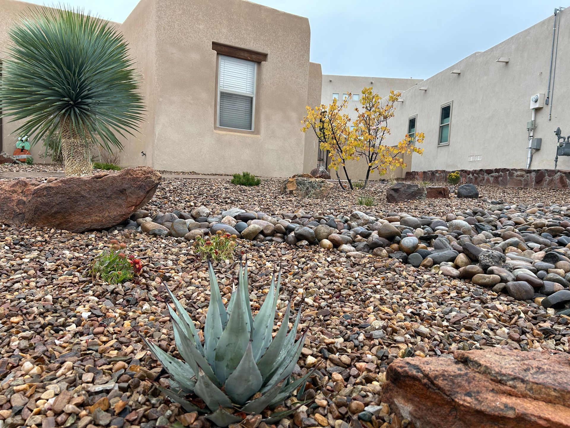 A Southwestern xeriscape garden with succulents, rocks, and beige stucco buildings on a cloudy day.
