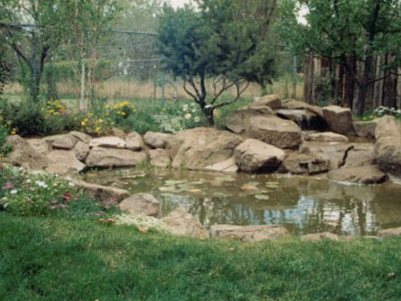 Rock garden pond with large stones, green grass, and trees in the background