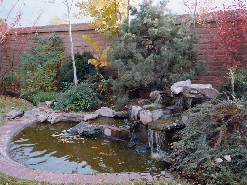 Backyard pond with rocks, shrubs, and a small waterfall beside a brick wall