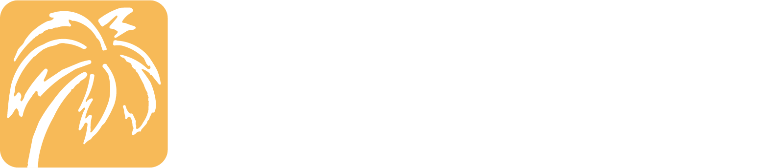 South Florida Sign Company Logo