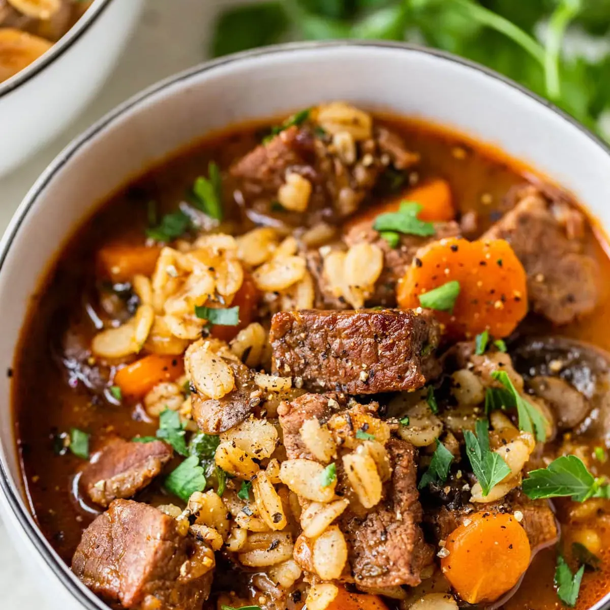 Beef Barley Soup