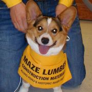 Smiling yellow face with open mouth and visible white teeth.