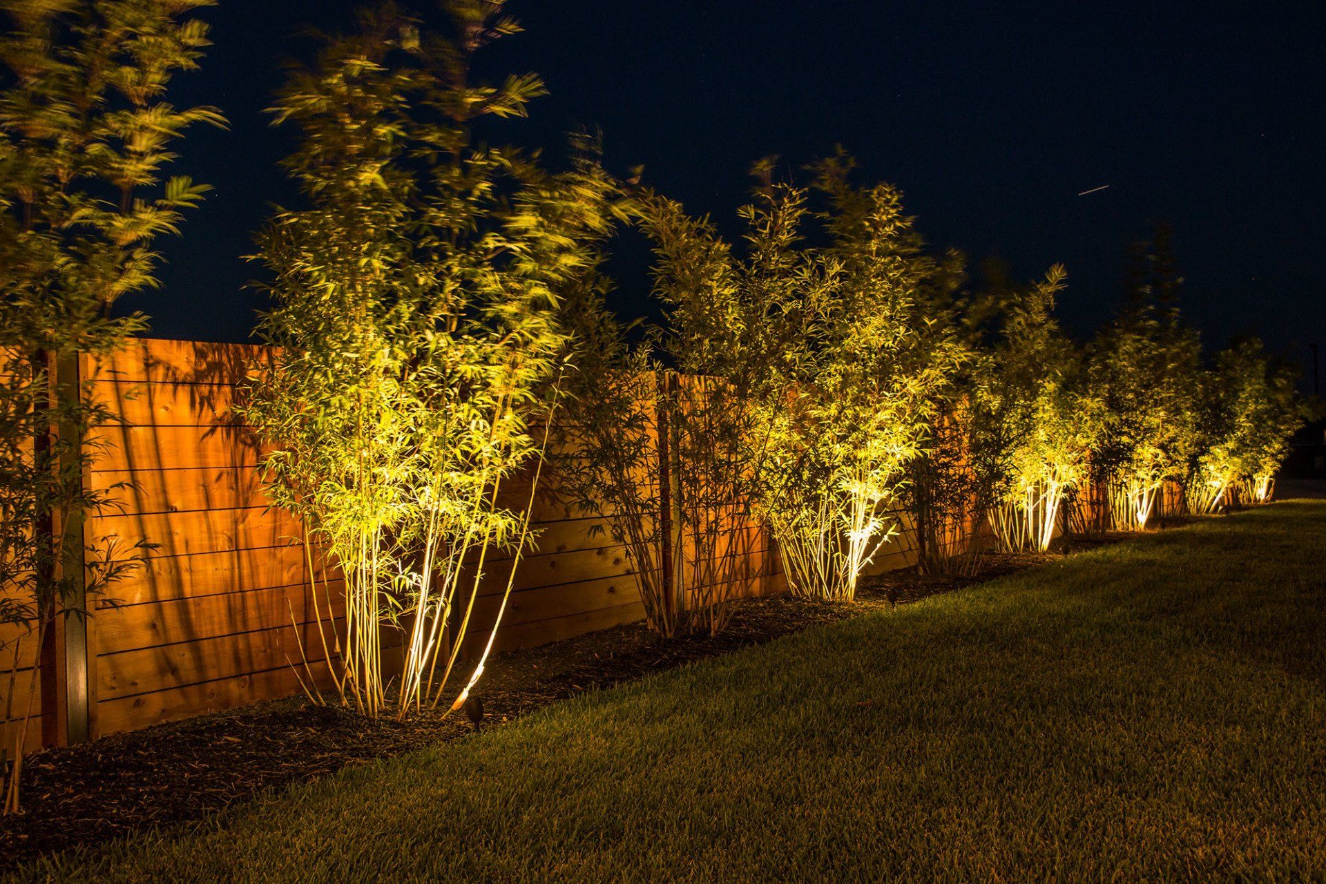 Landscape Lighting