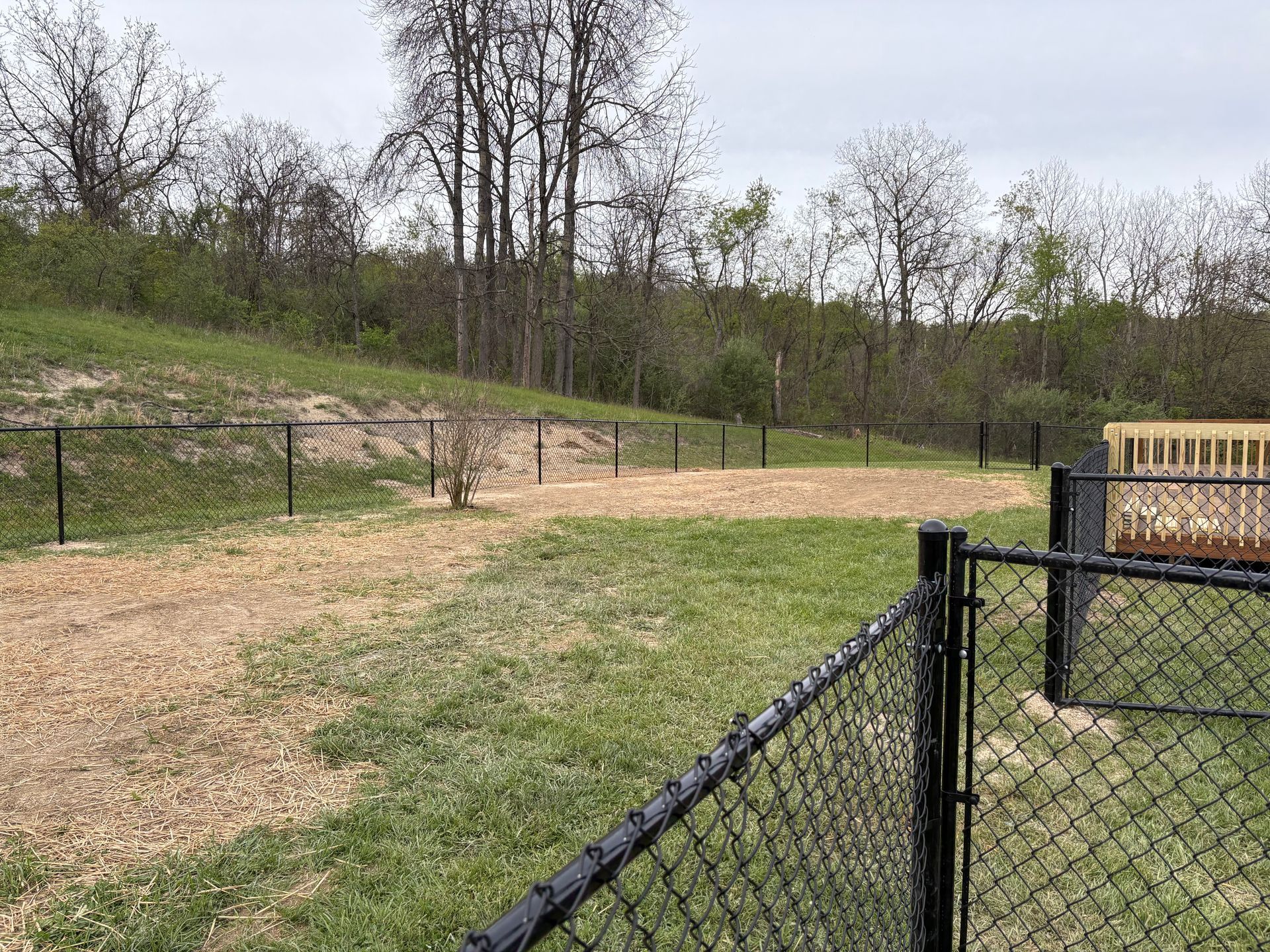 Grassy park path beside a black chain-link fence and wooded hillside under an overcast sky