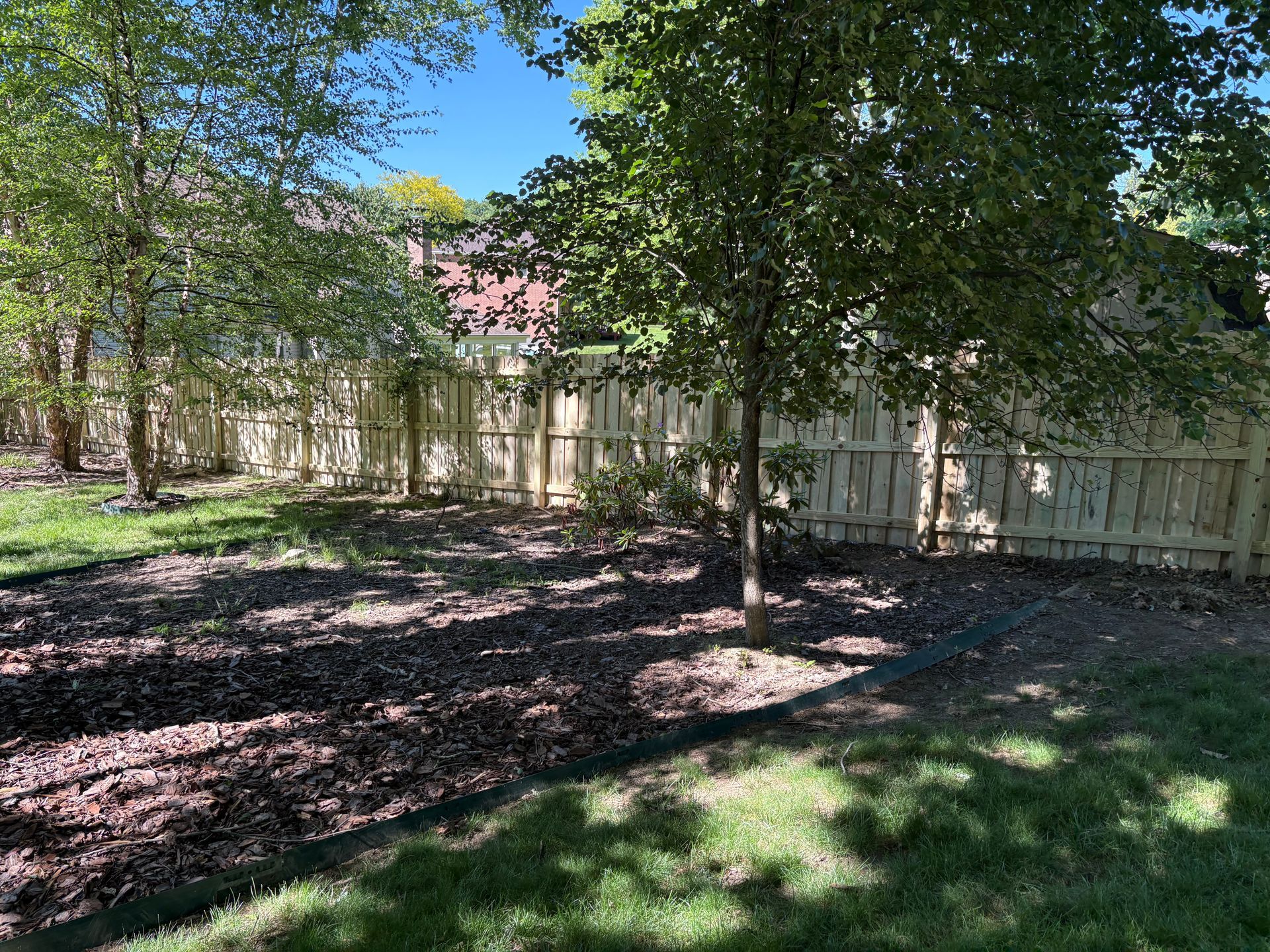 Tree-shaded backyard with a wooden fence and sunlit grass