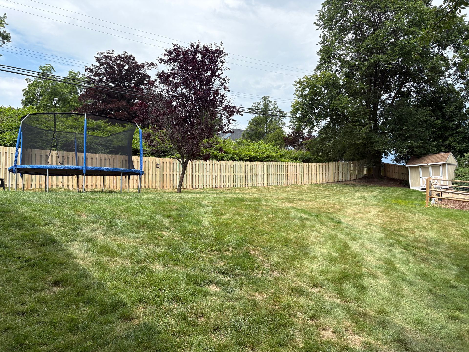 Backyard with mowed lawn, trampoline, trees, and a wooden fence under a cloudy sky