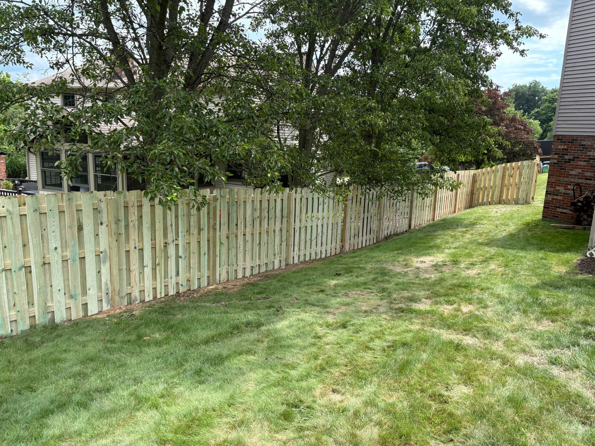 Grassy backyard beside a pale wooden fence with trees and a house on the right
