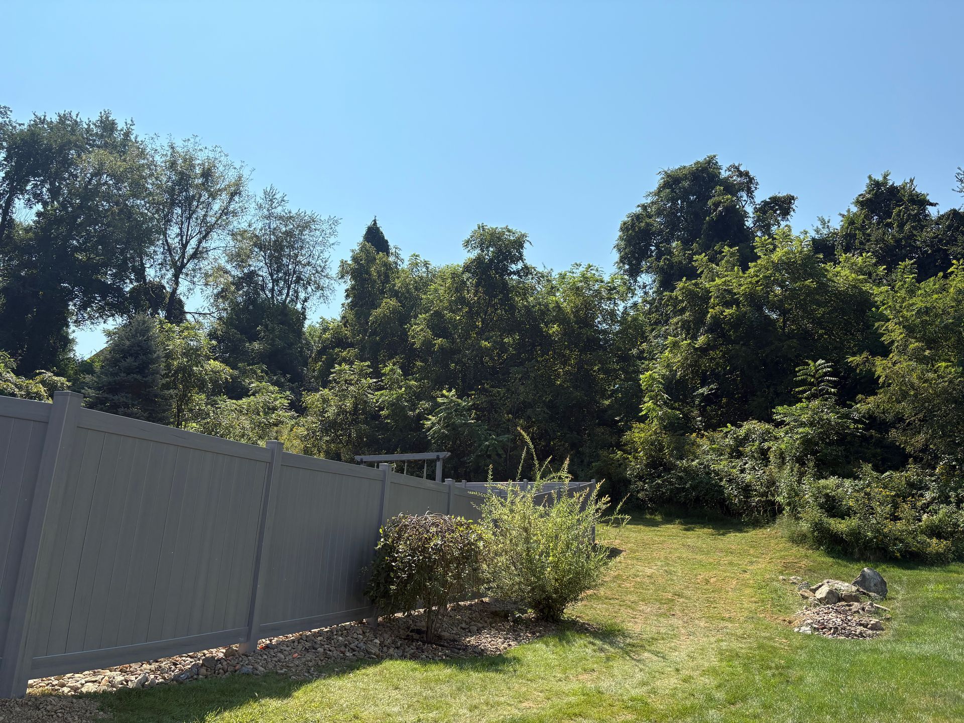 Sunny backyard with a gray fence, grass, bushes, and tall trees under a clear blue sky