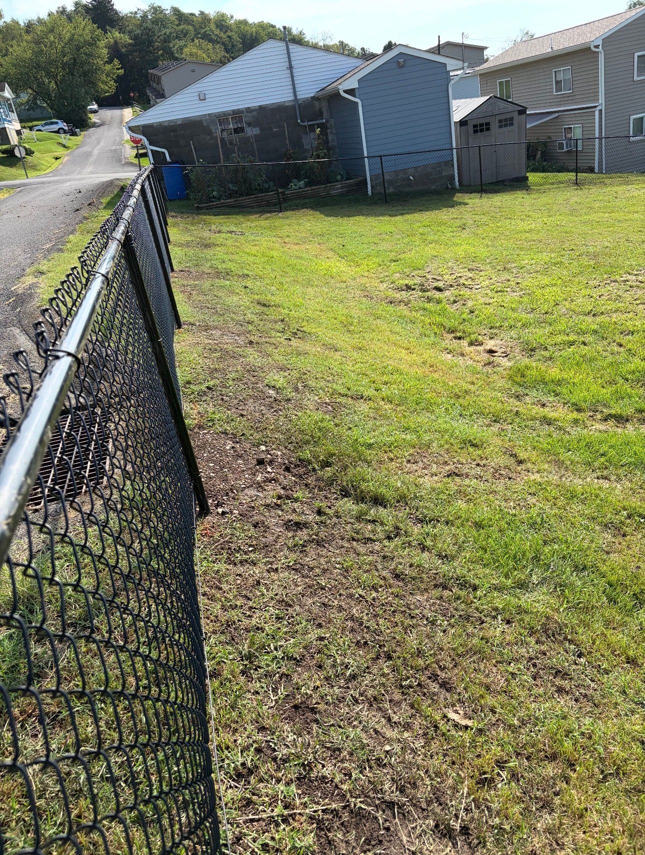Grassy backyard beside a chain-link fence, with houses and a shed in the background.