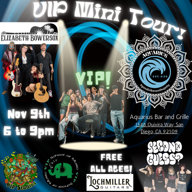 A poster for a vip mini tour in diego