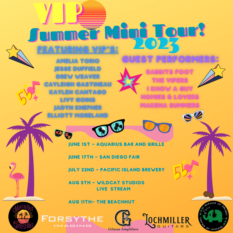 A poster for a vip summer mini tour in 2023