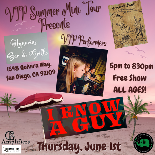 A poster for a vip summer mini tour in san diego