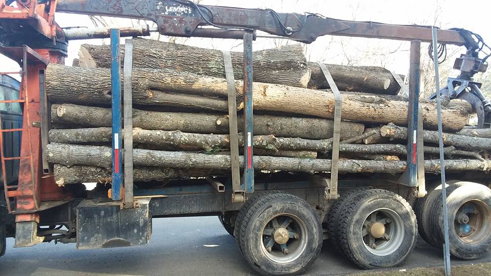 Truck loaded with timber