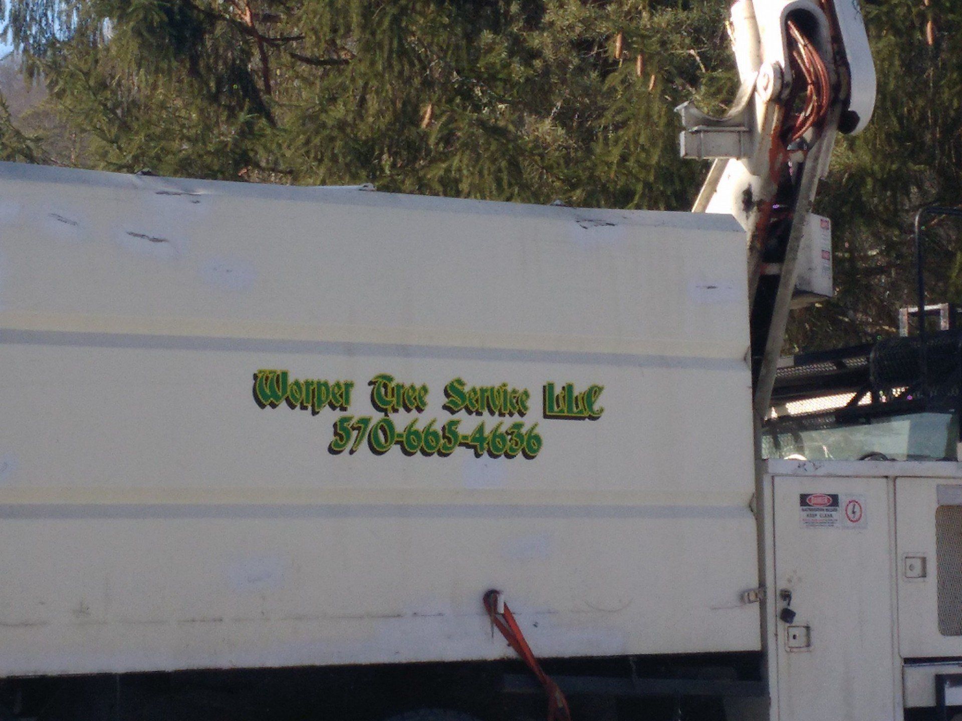 Tree removal equipment