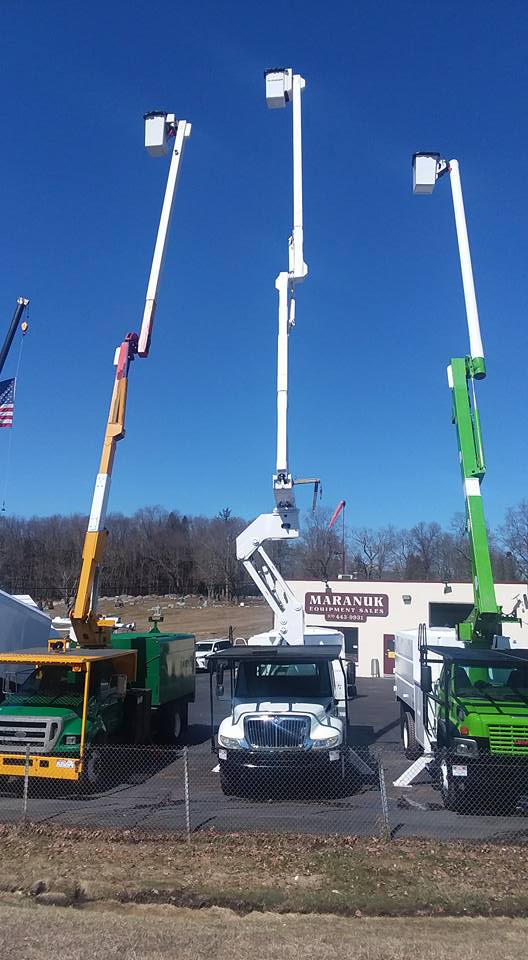 Tree removal equipment