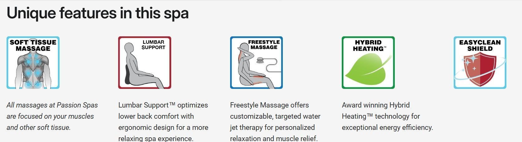 Spa infographic titled “Unique features in this spa” with four illustrated feature boxes and captions