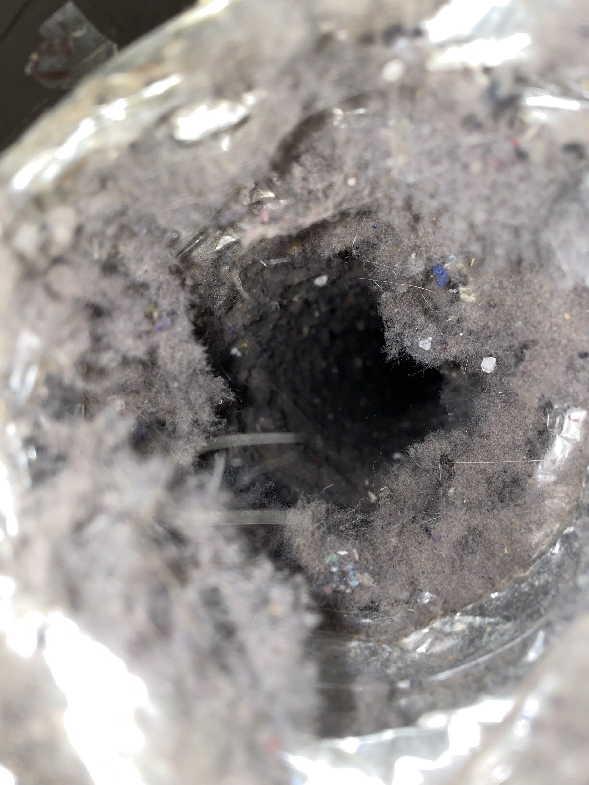 A dryer vent covered with lint