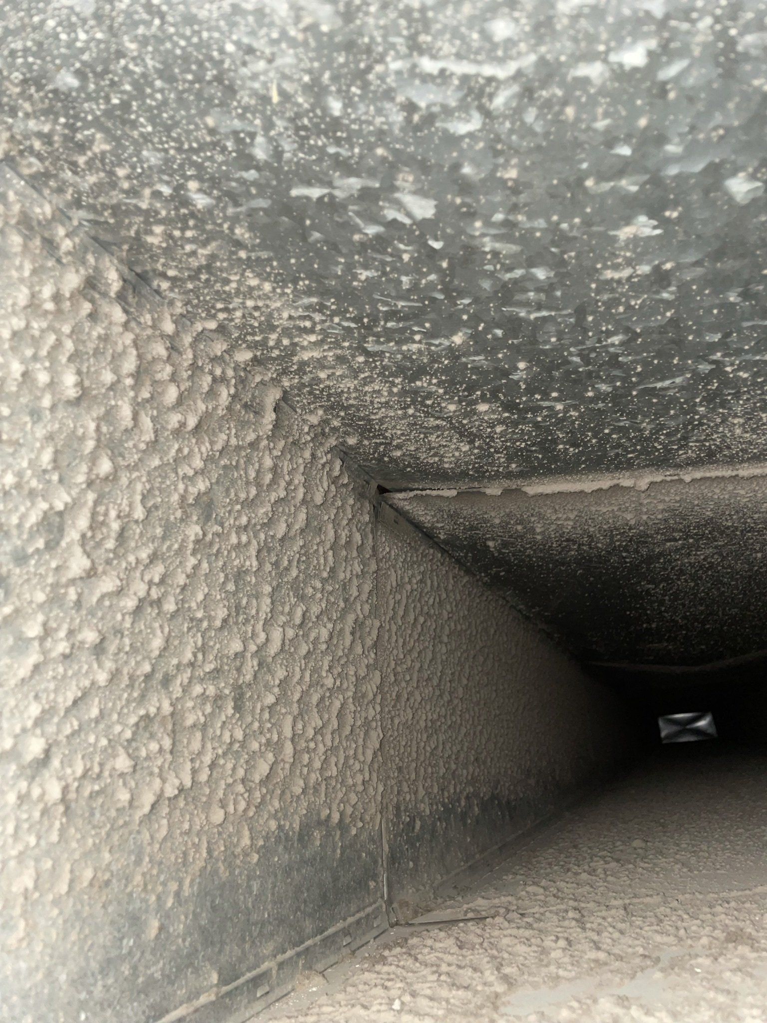 A air duct vent with molds inside