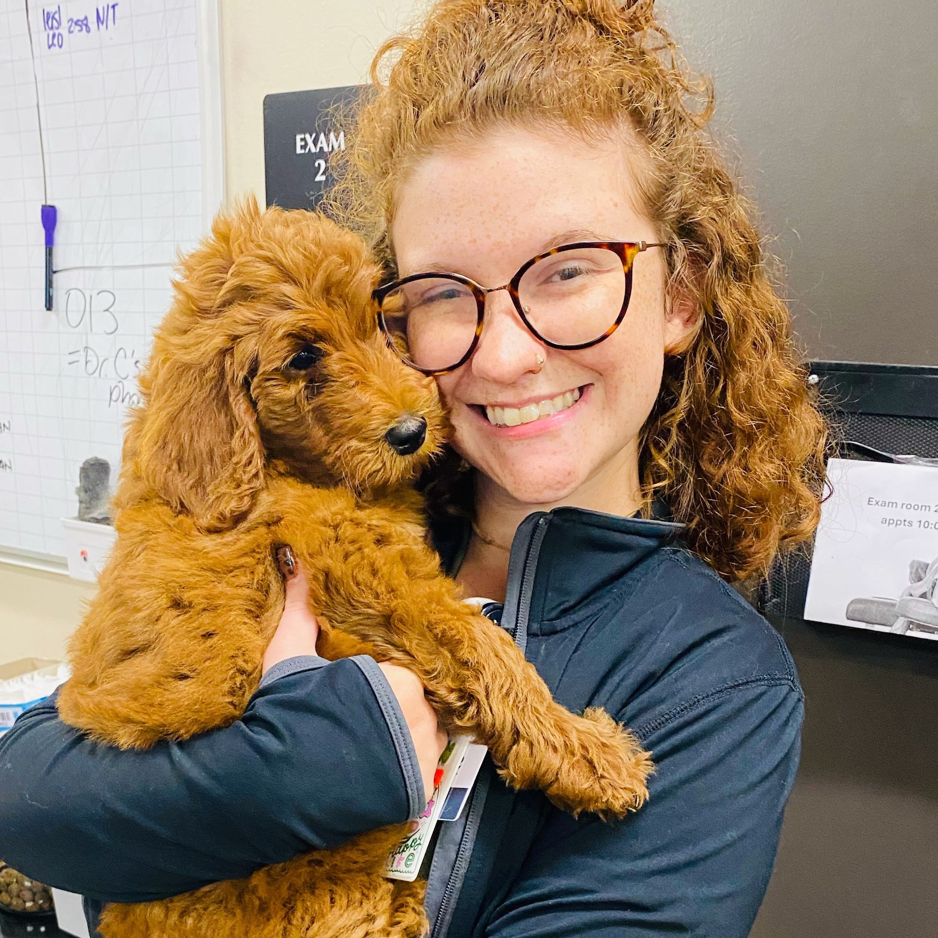 Woman with curly hair in glasses smiles while holding a brown Goldendoodle puppy.