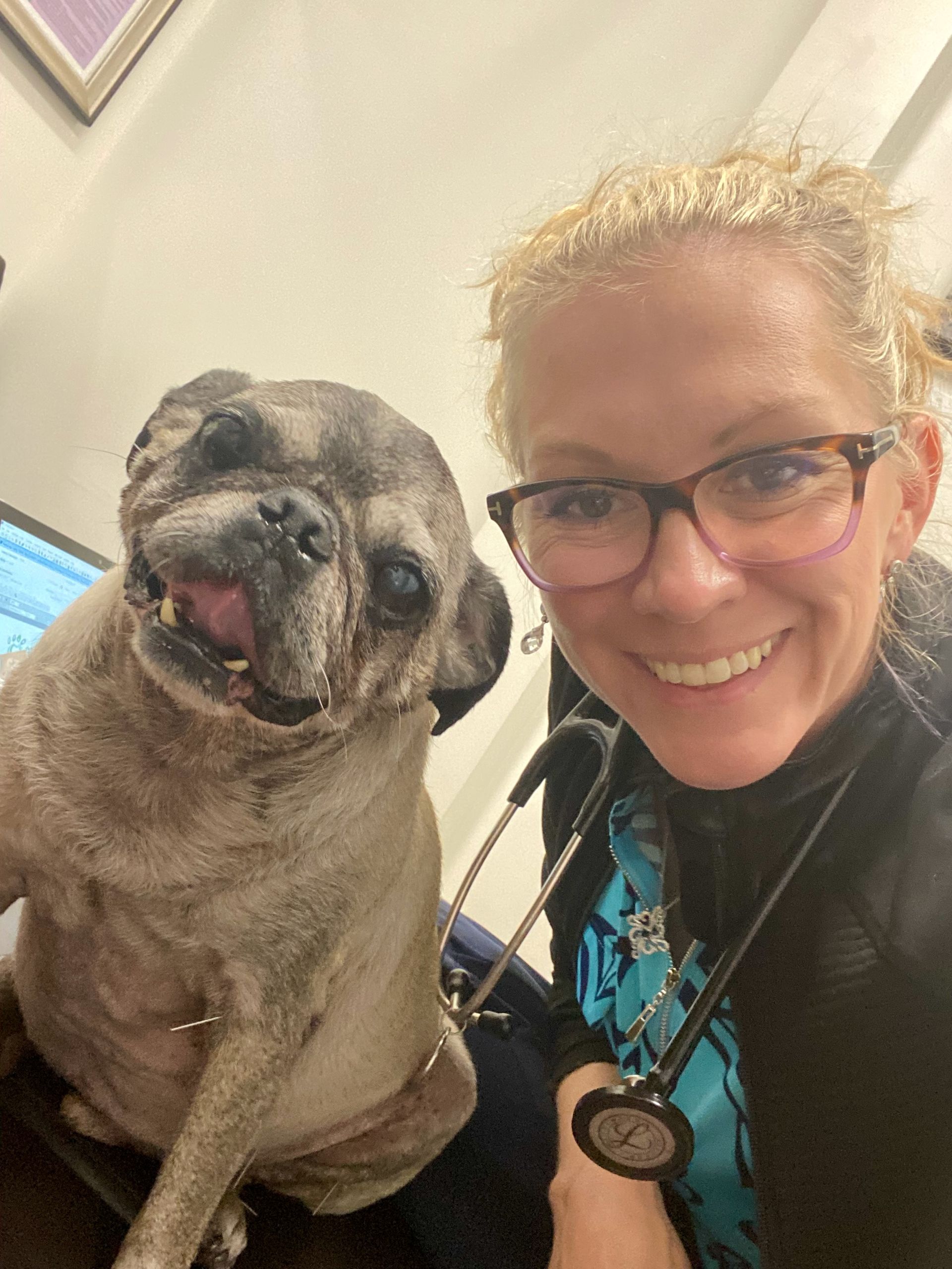 Allure Veterinary Hospital & Urgent Care