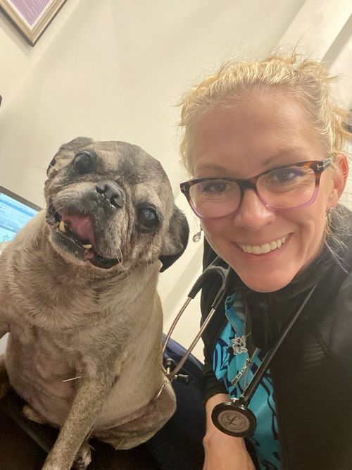 Allure Veterinary Hospital & Urgent Care