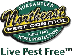 Logo for Northeast Pest Control: green, black, and yellow emblem with company name and tagline "Live Pest Free."