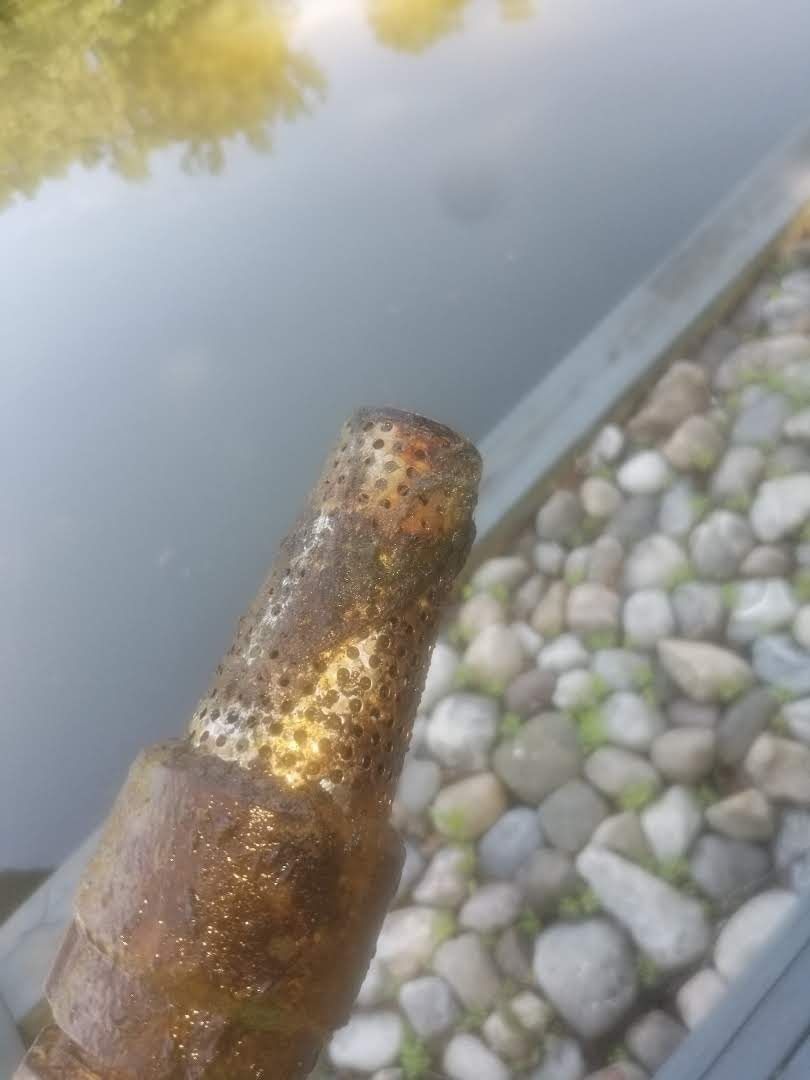 A bottle of beer is sitting next to a body of water.