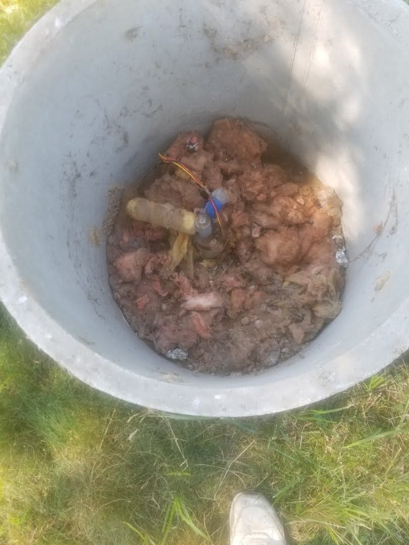 A white bucket filled with dirt is sitting in the grass.