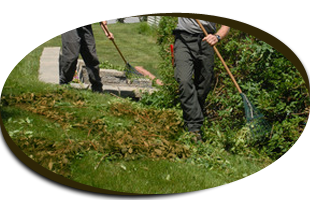 Lawn Care | Garden City Park, NY | Four Seasons Landscaping | 516-248-4539