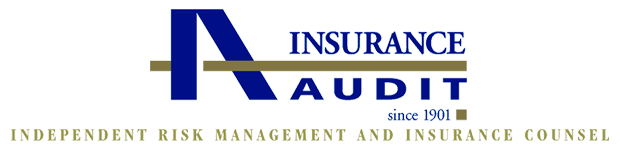 Insurance Audit & Inspection Company Logo