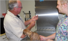 Pet Vaccines